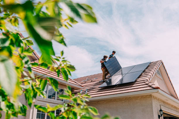 Best Roof Gutter Cleaning  in Oak Grove, MN
